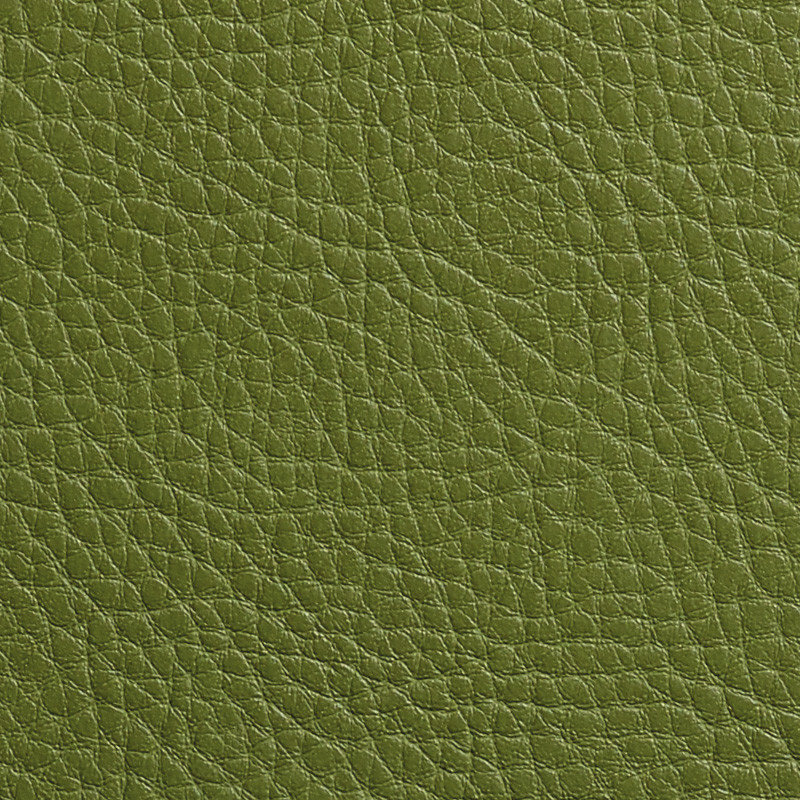 Upholstery colour: olive G8