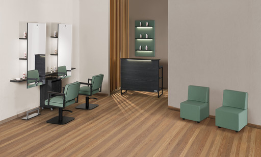 null: Madison - Salon Ambience null: Madison - Salon Ambience